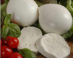 Buffalo mozzarella from Campania PDO