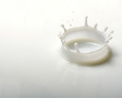 Skimmed Milk