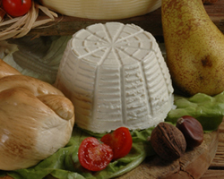 Ricotta di vaccino